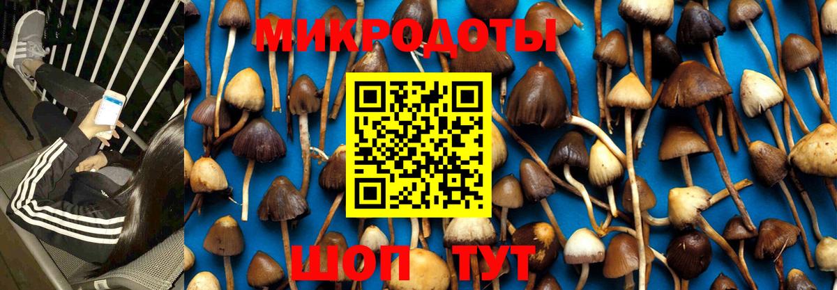 Псилоцибиновые грибы мухоморы Елец