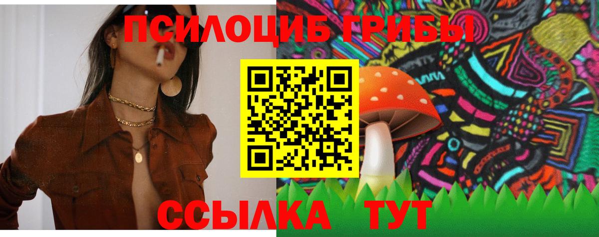 Елец  Галлюциногенные грибы GOLDEN TEACHER  Галлюциногенные грибы прущие грибы  Вход с VPN 